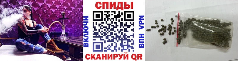 Купить закладки  Салаир  Бутират буратино 
