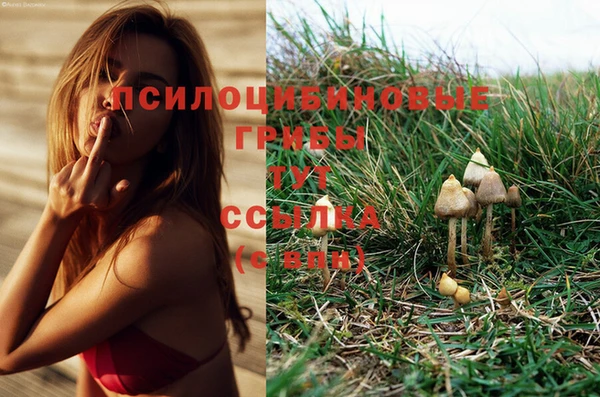 дистиллят марихуана Заволжье