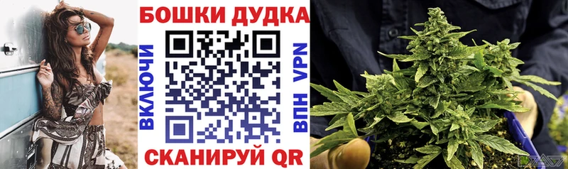 Конопля White Widow Купить Салаир